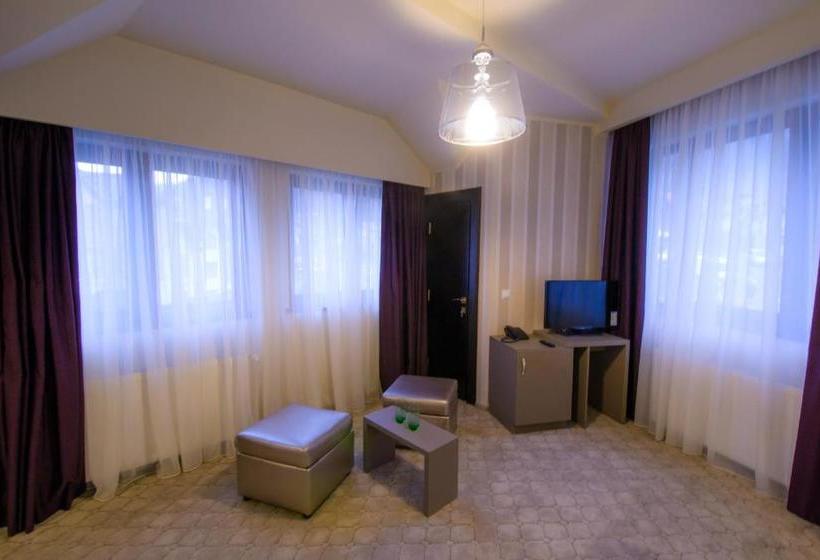 ペンション Pietrele Lui Solomon