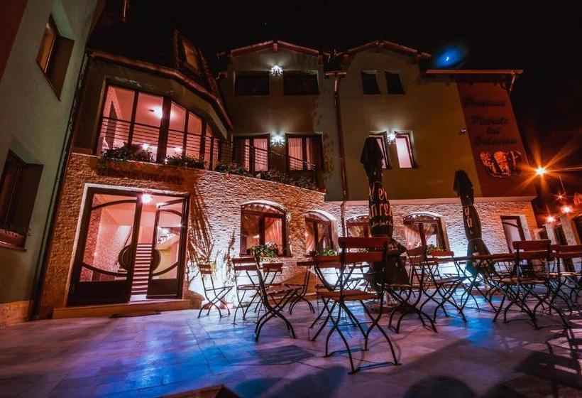 Пансион Pietrele Lui Solomon