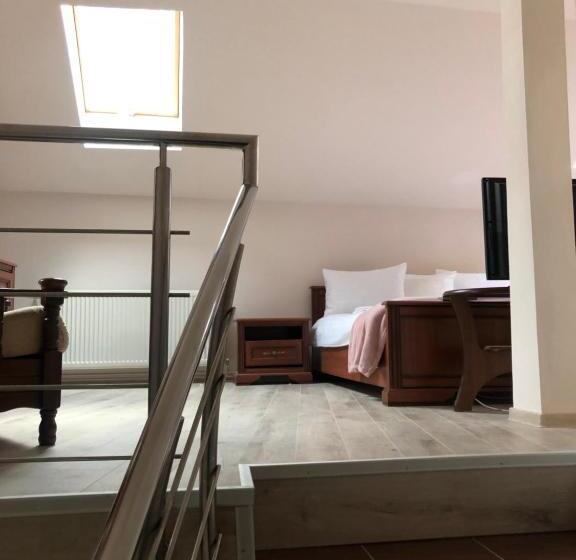 ペンション Pietrele Lui Solomon