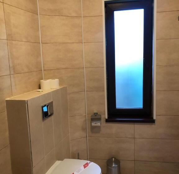 ペンション Pietrele Lui Solomon