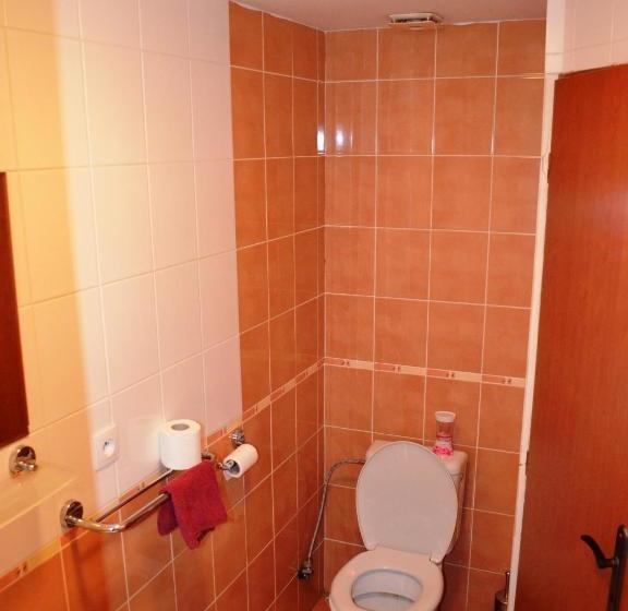 بنسيون Villa Silver Green