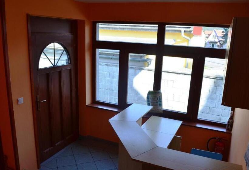 פנסיון Villa Silver Green