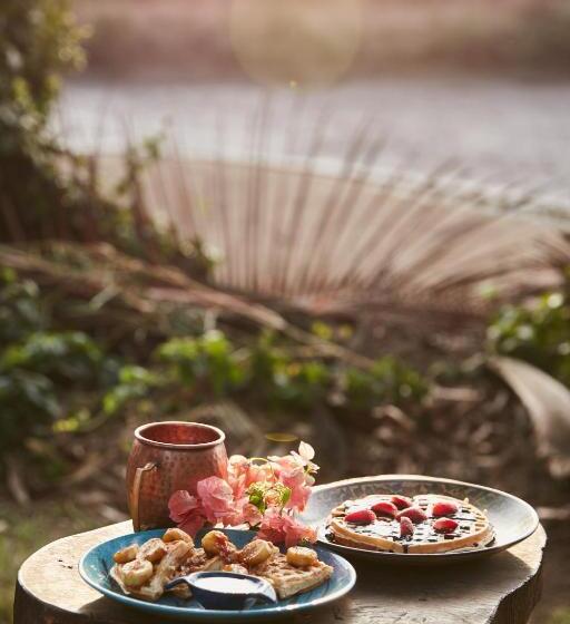 فندق صغير Jamboree Creek Yoga