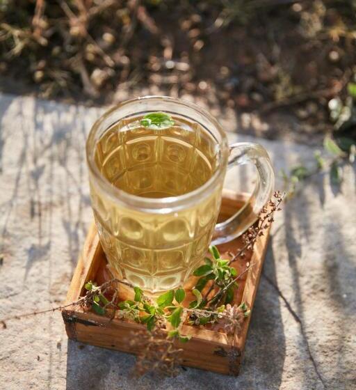 הוסטל Jamboree Creek Yoga