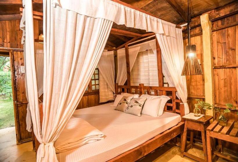 فندق صغير Jamboree Creek Yoga