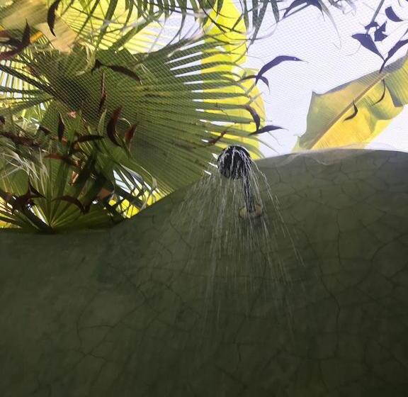 فندق صغير Jamboree Creek Yoga