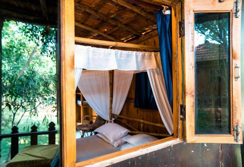 فندق صغير Jamboree Creek Yoga