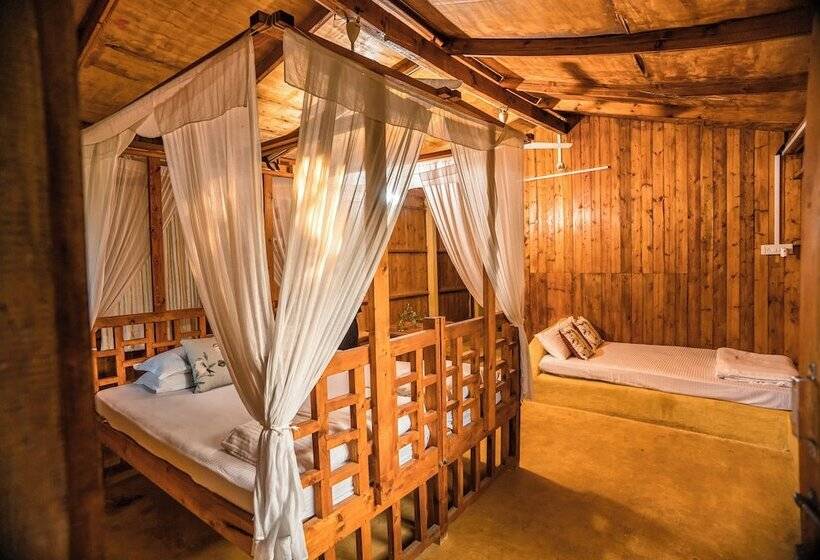 فندق صغير Jamboree Creek Yoga