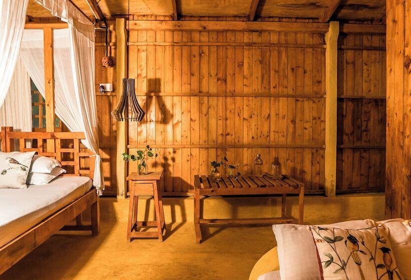 فندق صغير Jamboree Creek Yoga