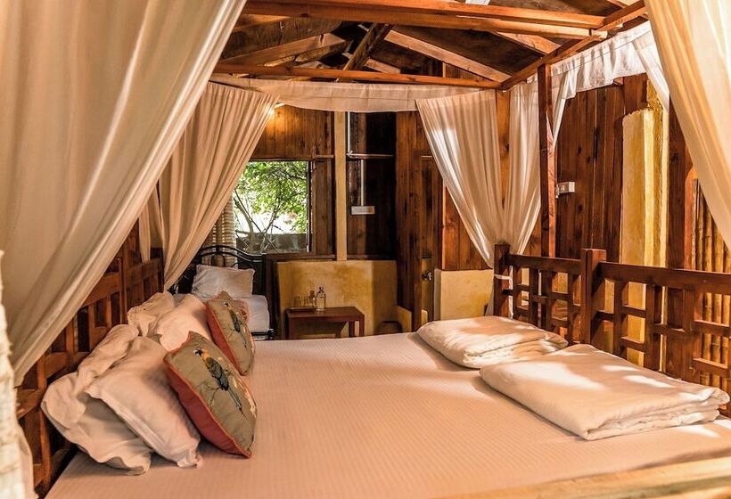 فندق صغير Jamboree Creek Yoga