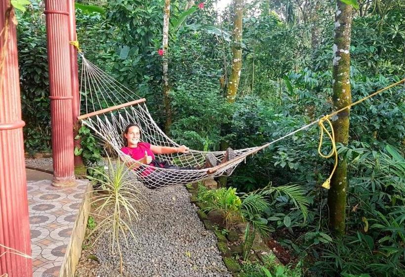 旅馆 Periyar Green Bed & Breakfast