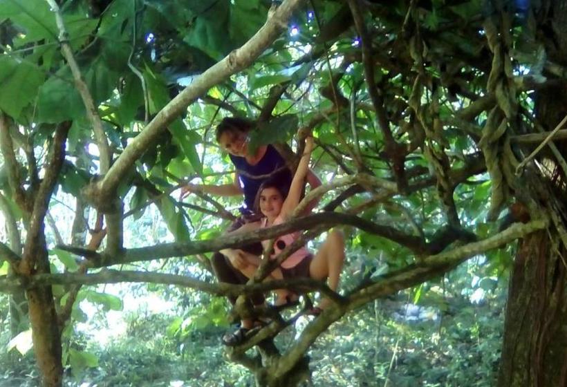 旅馆 Periyar Green Bed & Breakfast