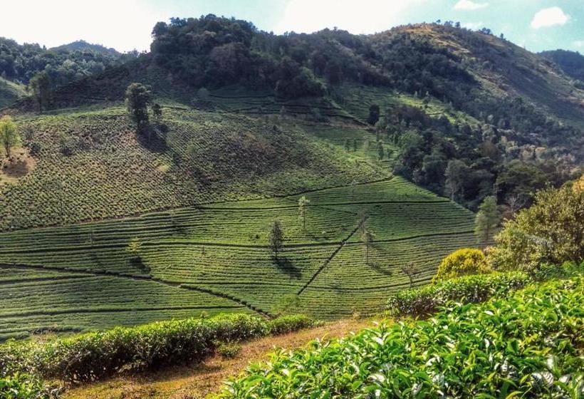 旅馆 Periyar Green Bed & Breakfast