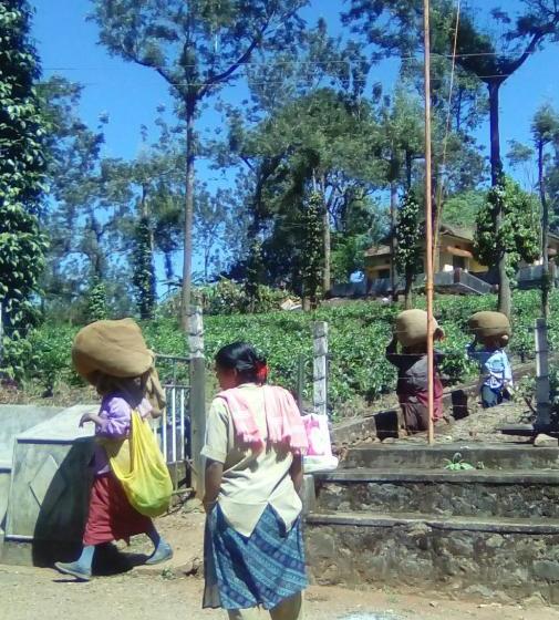 旅馆 Periyar Green Bed & Breakfast