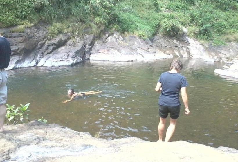 旅馆 Periyar Green Bed & Breakfast