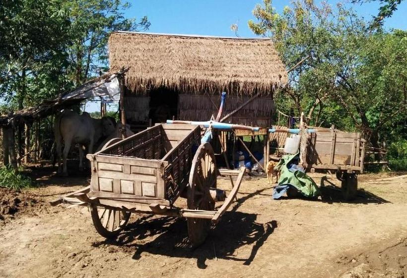 Schronisko Phalla Riverside