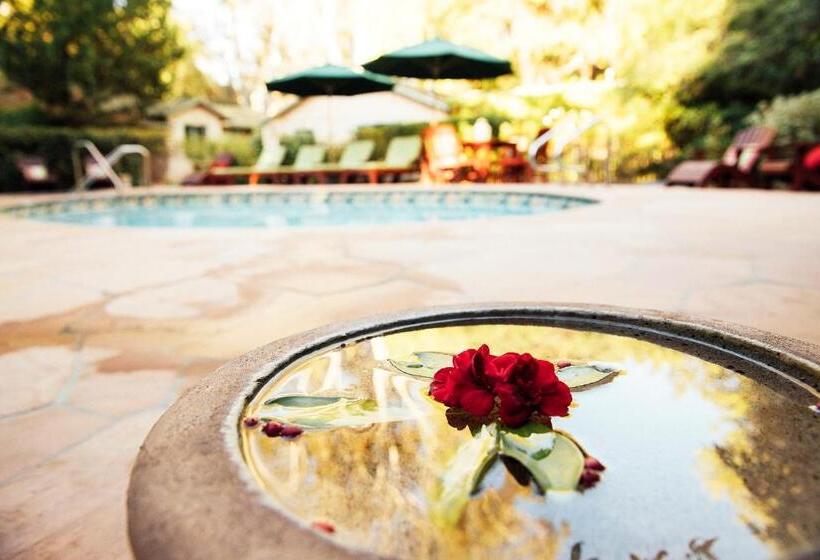 فندق صغير The Emerald Iguana Inn