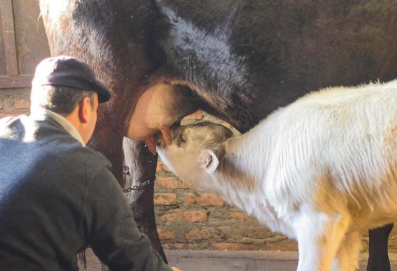 Boqueirão Hotel Fazenda