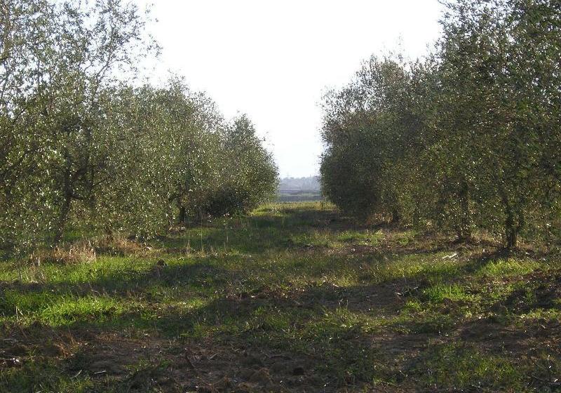 فندق Agriturismo Benvenuti