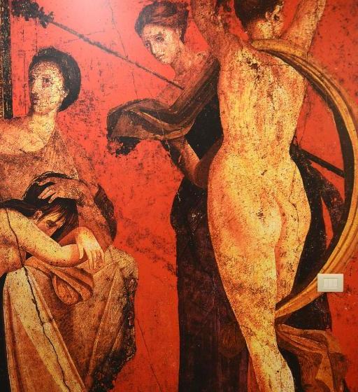 Отель B&b Pompei Passion