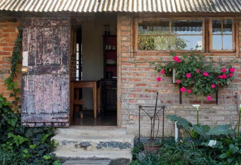 בית מלון כפרי Dalmore Guest Farm