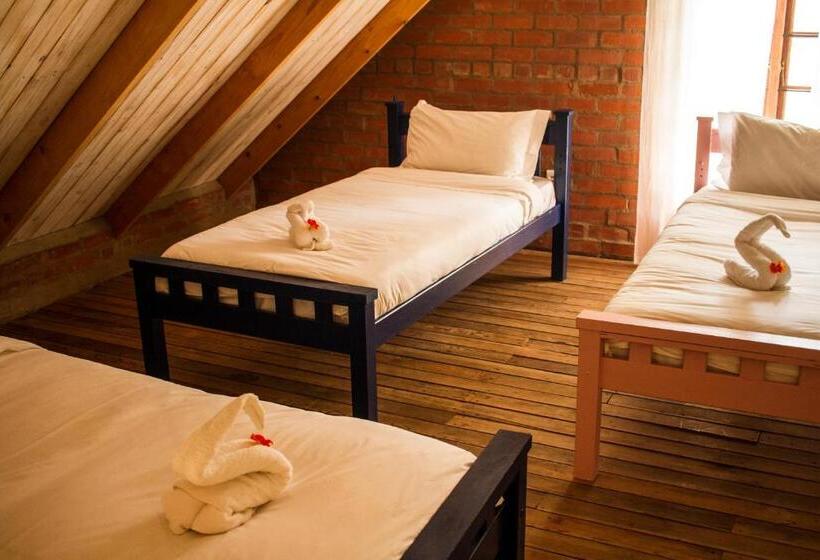 בית מלון כפרי Dalmore Guest Farm