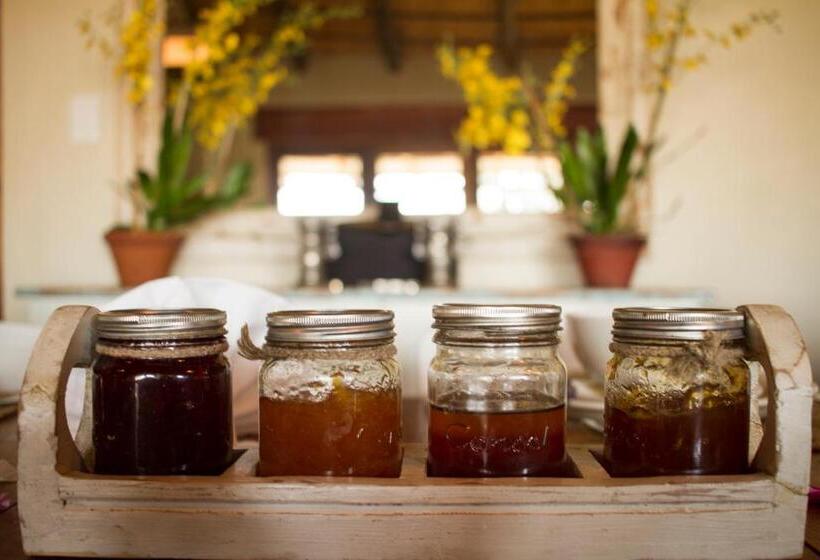 בית מלון כפרי Dalmore Guest Farm