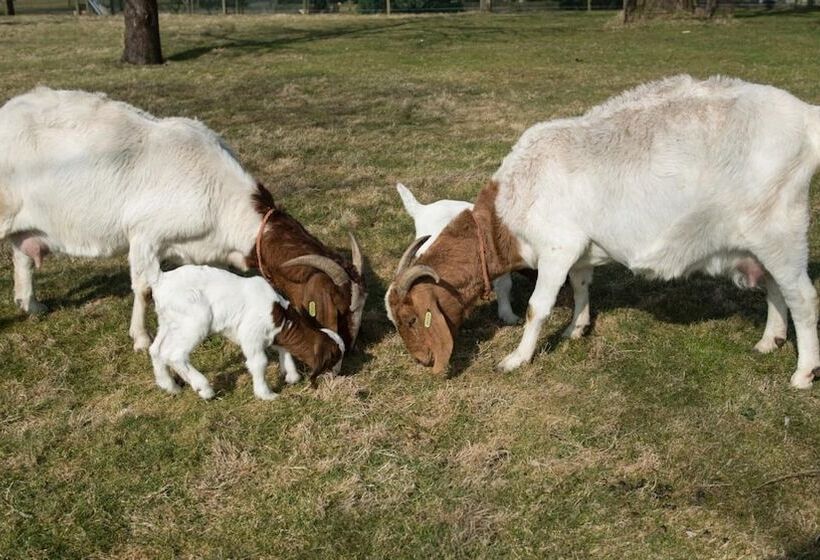 膳宿费 B&b Logeren Bij Van Heeren