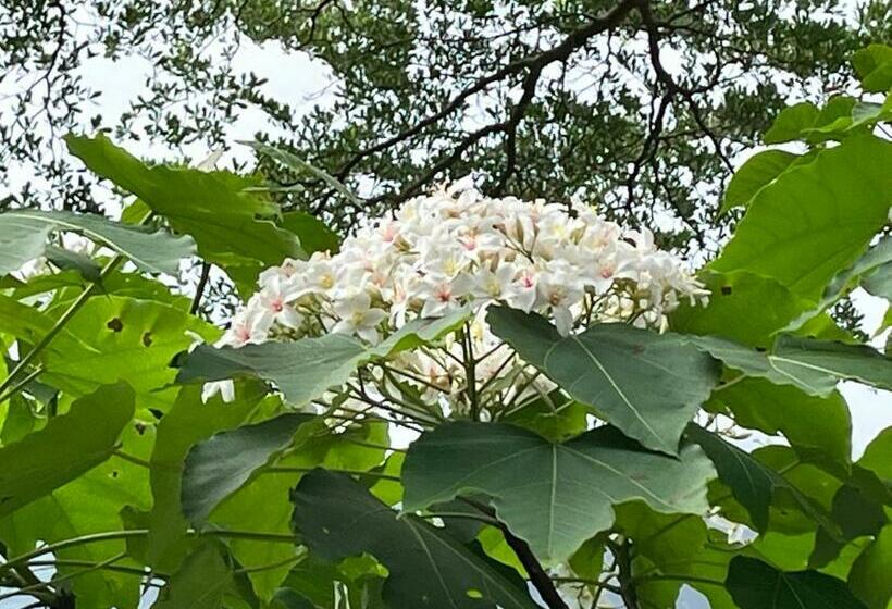 پانسیون Bo Zho Villa