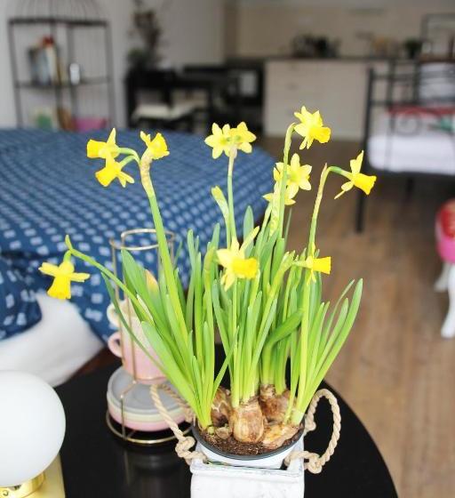 پانسیون Chopsticks B&b