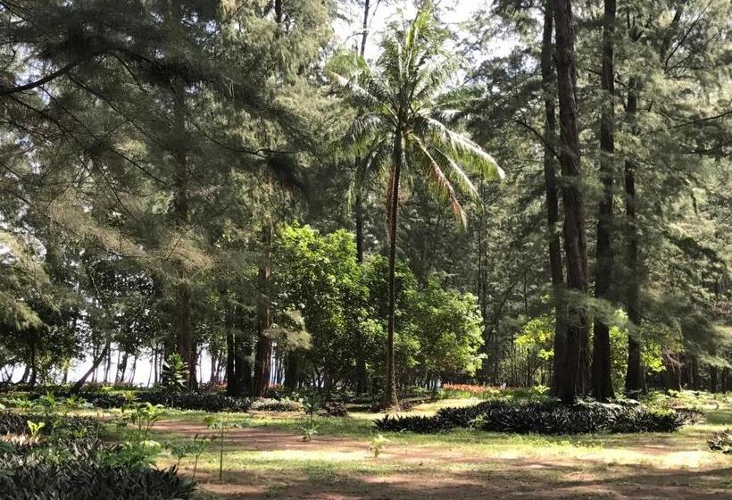 펜션 Coconut Bungalow