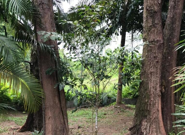 펜션 Coconut Bungalow