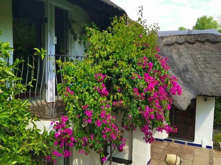 ペンション De Witt E Guest House