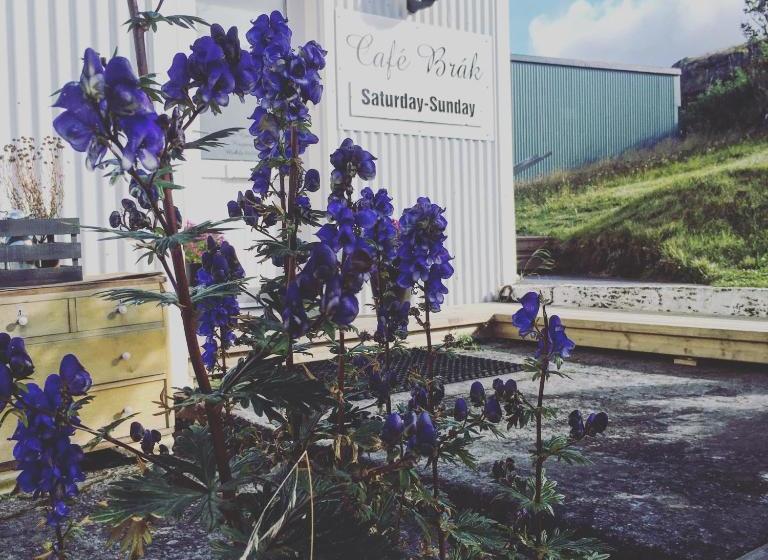 پانسیون Egils Guesthouse