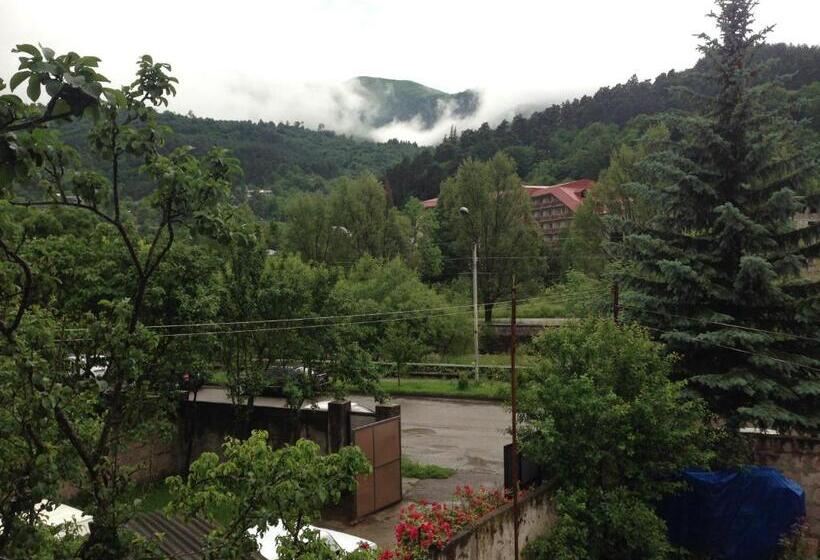 Пансион Gokor B&b