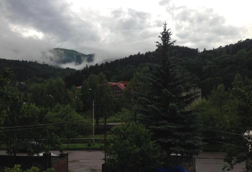 Пансион Gokor B&b