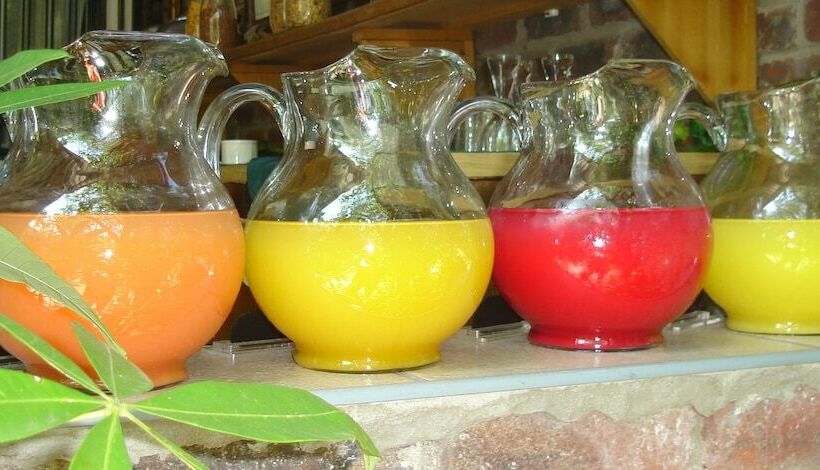 ペンション Lost Trail Bed And Breakfast