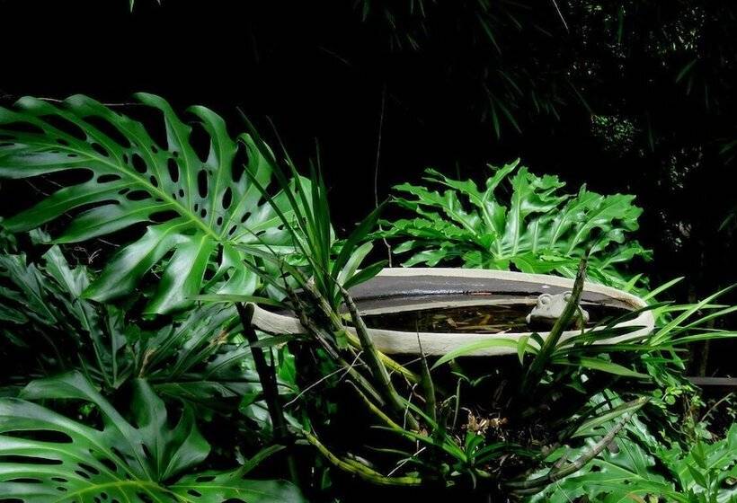 ペンション Lost Trail Bed And Breakfast