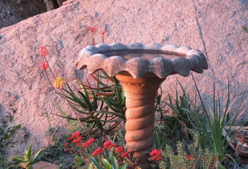 ペンション Lost Trail Bed And Breakfast