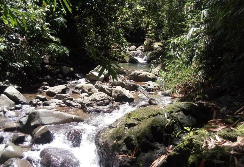 بنسيون Osa De Rio