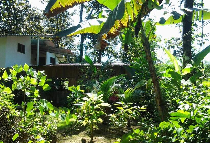 پانسیون Osa De Rio