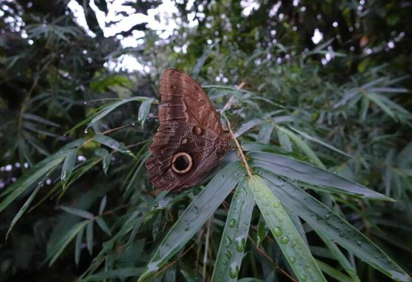 پانسیون Osa De Rio