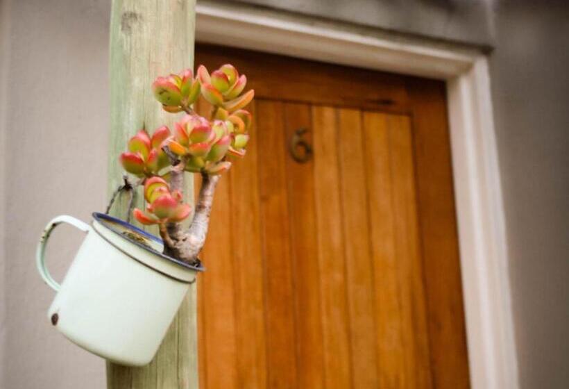 Пансион Patterson B&b