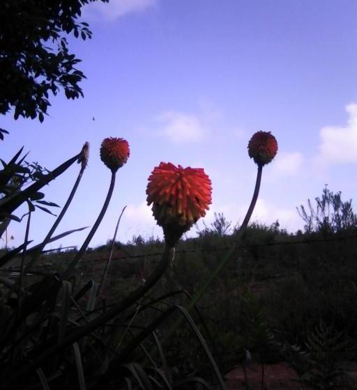 Пансион Eco Pousada Recanto Tucano