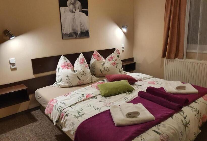 بنسيون Rudolf Vendégház