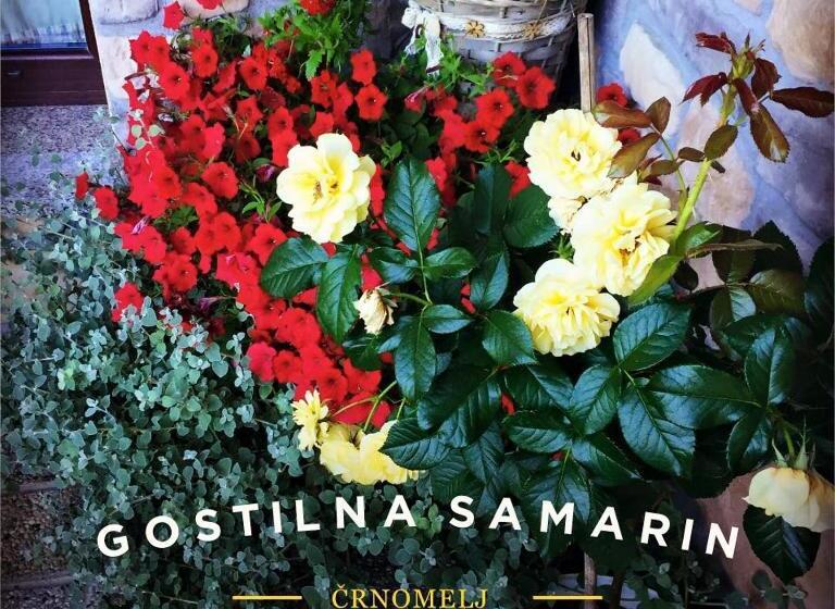 پانسیون Samarin črnomelj