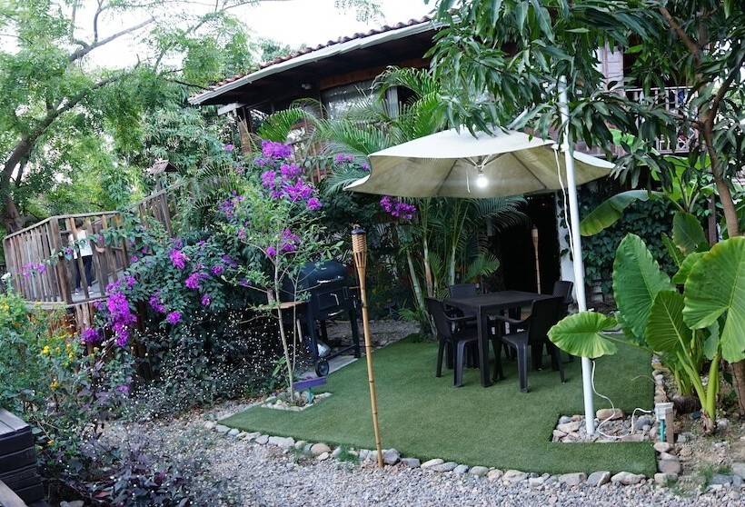 پانسیون Tribe