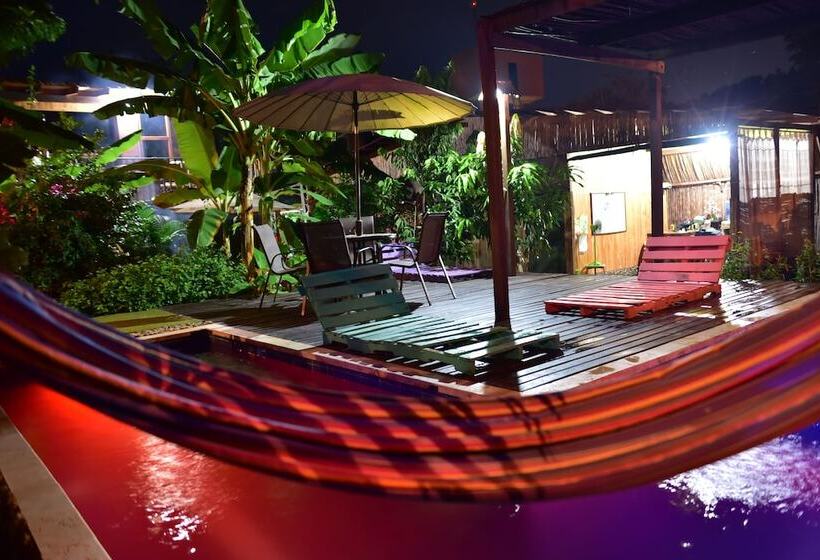 پانسیون Tribe