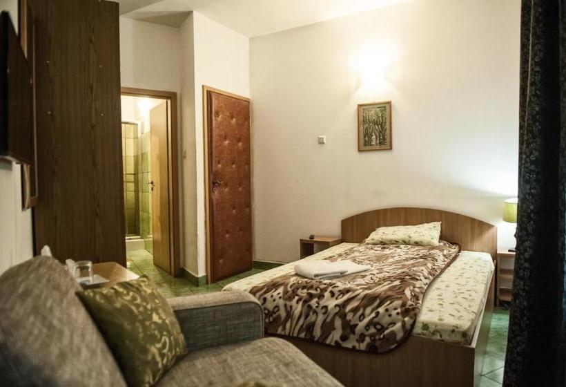 Pensiunea Caramida Verde