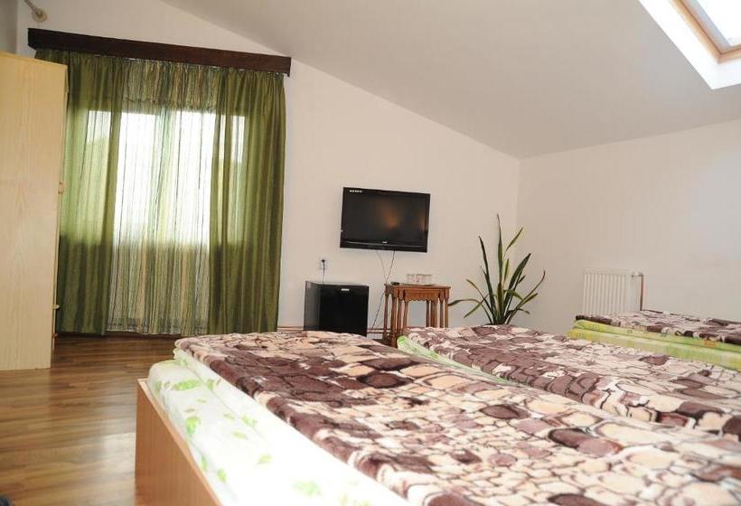 Pensiunea Caramida Verde